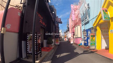 土浦 m性感|【おすすめ】土浦･桜町のM性感の風俗店一覧｜ぴゅあら